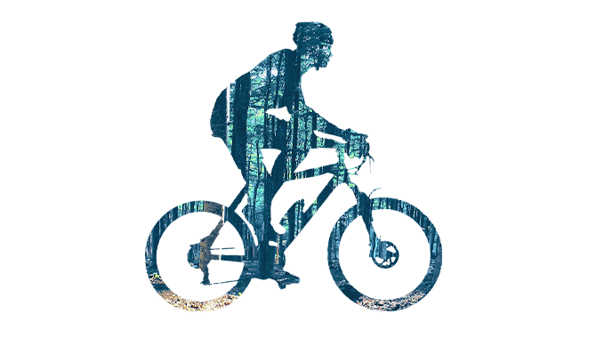 Un ciclista disfruta de un paseo escénico en bicicleta, abrazando la aventura y la libertad | MSC Cruceros