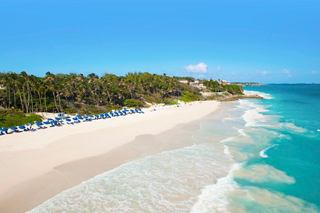 Aerial view of a pristine Barbados beach with gentle waves and palm trees, inviting relaxation and adventure | MSC Cruises