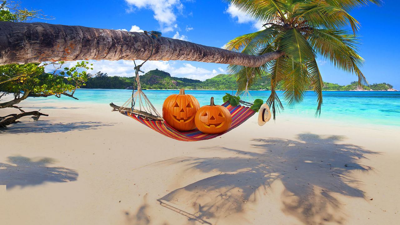 A couple relaxes in a hammock on the beach under a palm tree | MSC Cruises