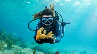 A diver explores the underwater world surrounded by coral and fish in clear blue water | MSC Cruises