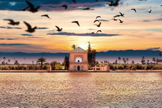 A serene view of the Menara Gardens in Marrakech at sunrise, featuring a lake and mountains in the background | MSC Cruises