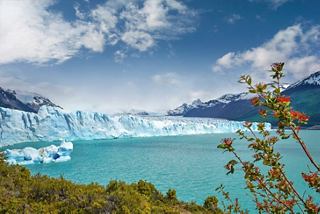 Breathtaking view of a glacier in Patagonia, surrounded by mountains and lush vegetation under a clear sky | MSC Cruises
