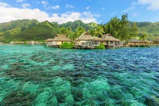 A serene view of overwater bungalows set against vibrant turquoise waters and lush greenery in Moorea, French Polynesia | MSC Cruises