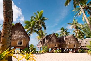 Tropical huts surrounded by palm trees and sandy beach in Aitutaki, showcasing the beauty of the Cook Islands | MSC Cruises