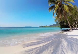 A serene beach with palm trees, gentle waves, and a clear sky in Lonnoc, Vanuatu, inviting exploration and relaxation | MSC Cruises