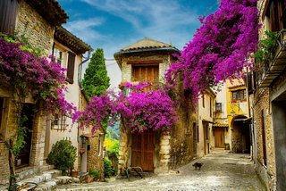 Charming street with blooming plants and historic architecture | MSC Cruises