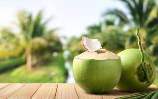 Fresh coconuts on a wooden platform with tropical greenery in the background | MSC Cruises