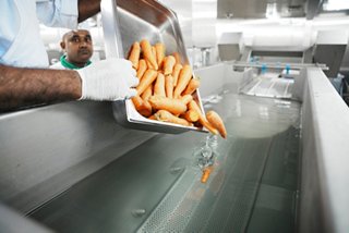 Crew member washes fresh vegetables using onboard produced freshwater on MSC World Europa | MSC Cruises