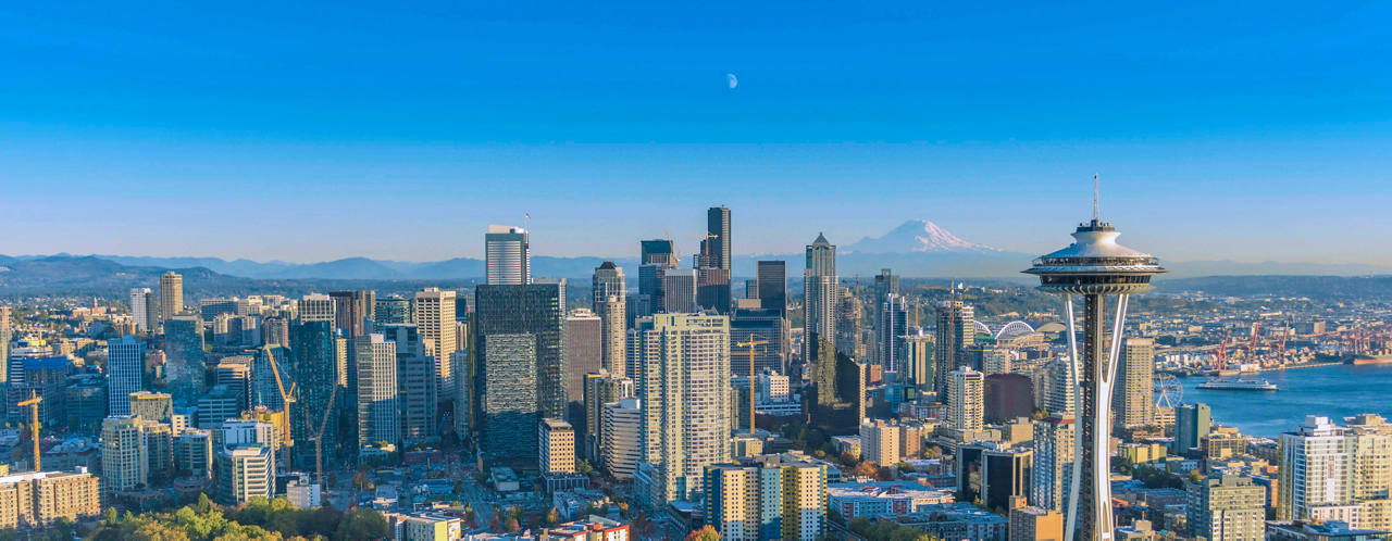 Seattle skyline featuring skyscrapers against a clear blue sky, inspiring future travels | MSC Cruises
