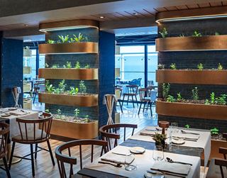 Ambiente de restaurante moderno con acentos verdes y vista al mar | MSC Cruceros