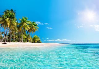 Tropical beach with palm trees and crystal-clear water, perfect for relaxation | MSC Cruises