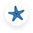 Round star icon on a blue background representing the Bella cruise service | MSC Cruises