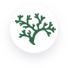 MSC Cruises logo featuring a coral motif, symbolizing the beauty of the sea | MSC Cruises