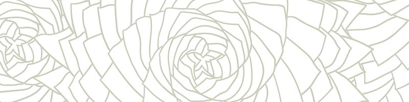 Green pattern with abstract shapes and circles | MSC Cruises