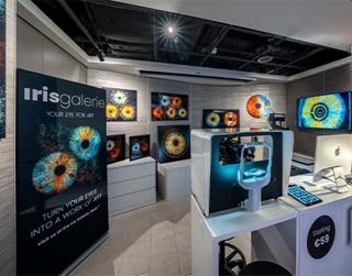 Galería de arte a bordo con obras enmarcadas y luz ambiental | MSC Cruceros