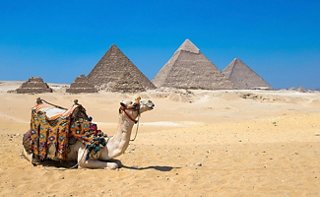Le piramidi di Giza e cammelli nel deserto sotto un cielo blu vivido | MSC Cruises