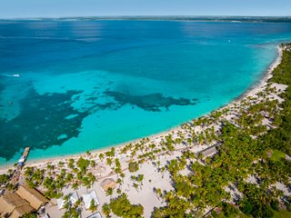 Caribbean coastline with turquoise sea and palm trees on Catalina Island in the Dominican Republic | MSC Cruises