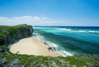Sandy beach on Grand Turk with turquoise sea and lush vegetation | MSC Cruises