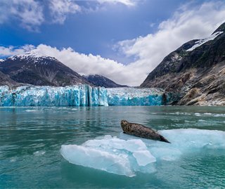 A glacier in Alaska surrounded by mountains and sea with wildlife resting on floating ice | MSC Cruises