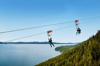 Two people ziplining above the sea and lush hills at Icy Strait Point in Alaska | MSC Cruises