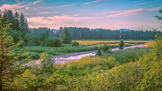 A river winds through lush green meadows and forests with mountains in the distance | MSC Cruises