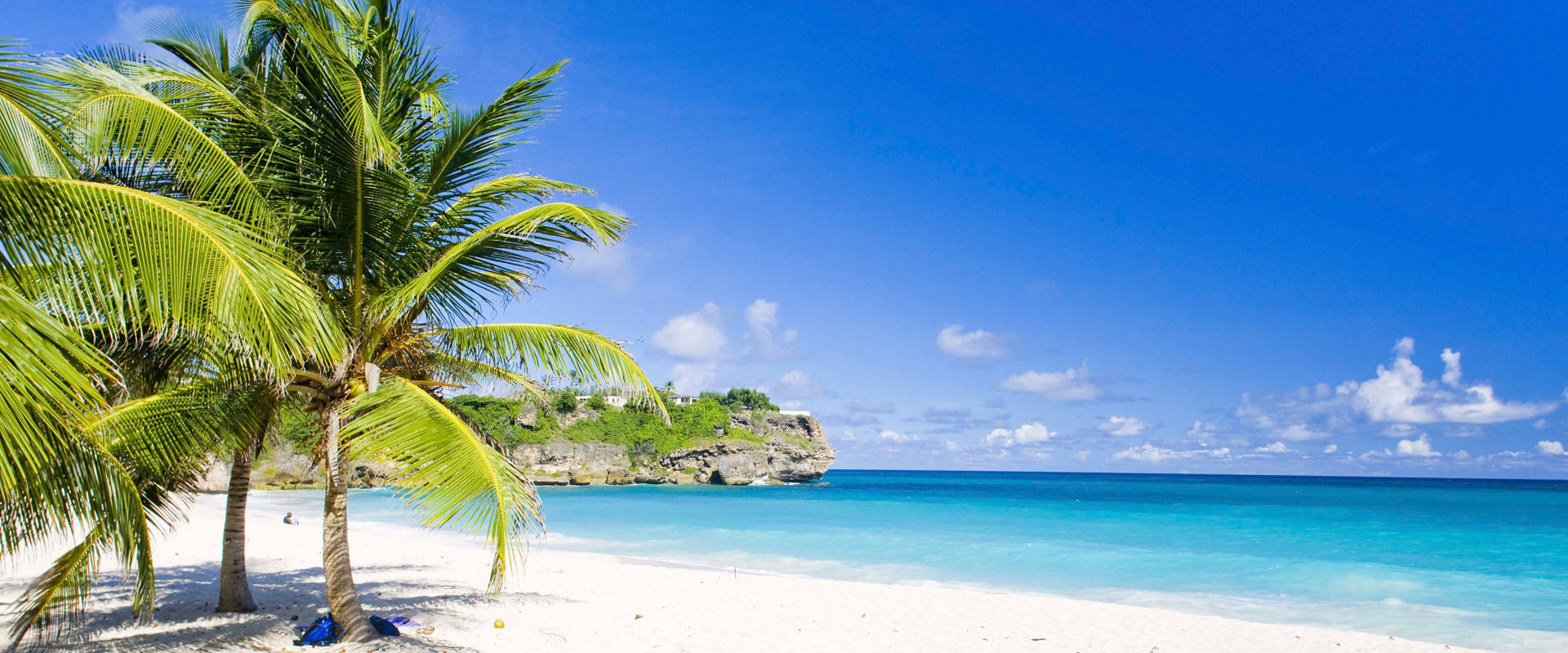 Tropical beach with palm trees, white sand and turquoise sea beneath a bright blue sky | MSC Cruises