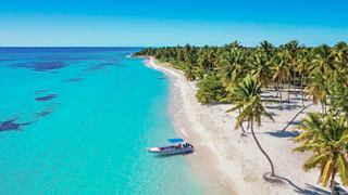 Caribbean beach with turquoise water and palm trees on Saona Island in the Dominican Republic | MSC Cruises