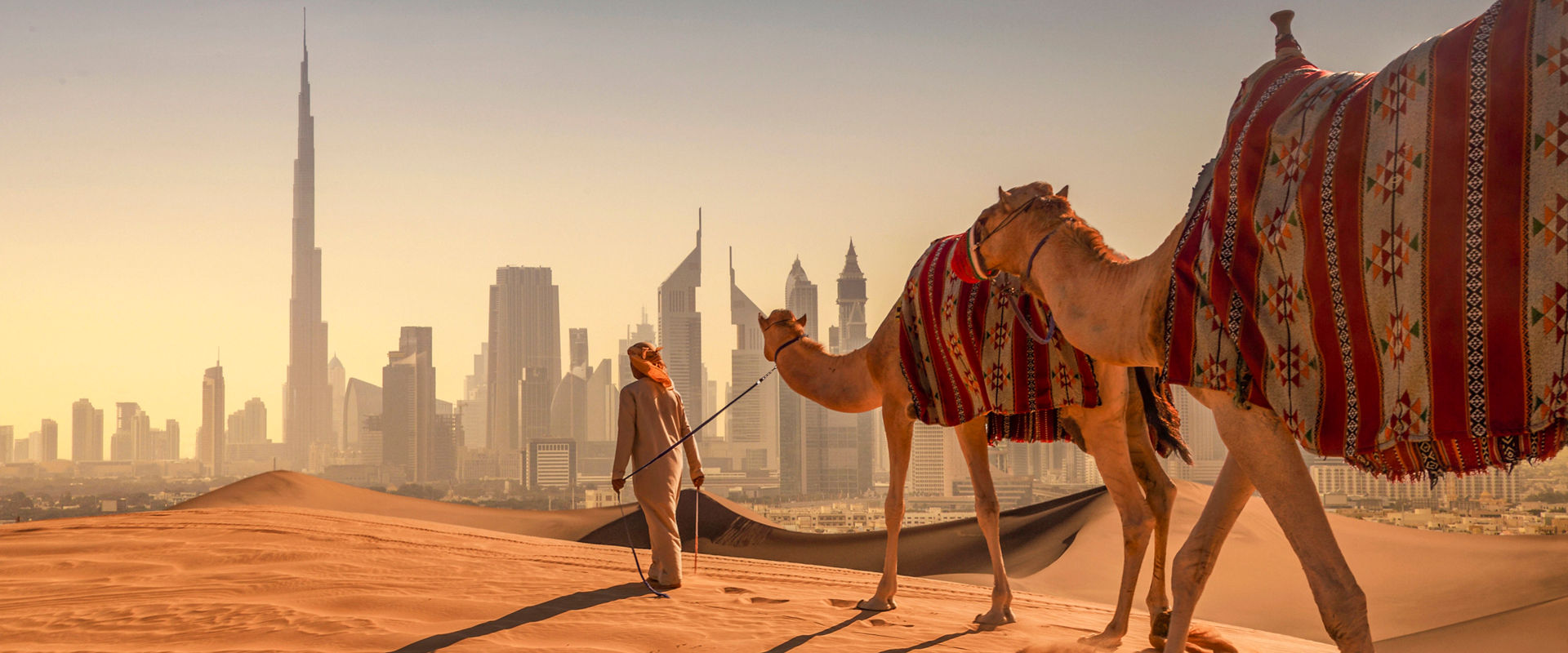 A camel with a person in the desert overlooking the Dubai skyline in the United Arab Emirates | MSC Cruises