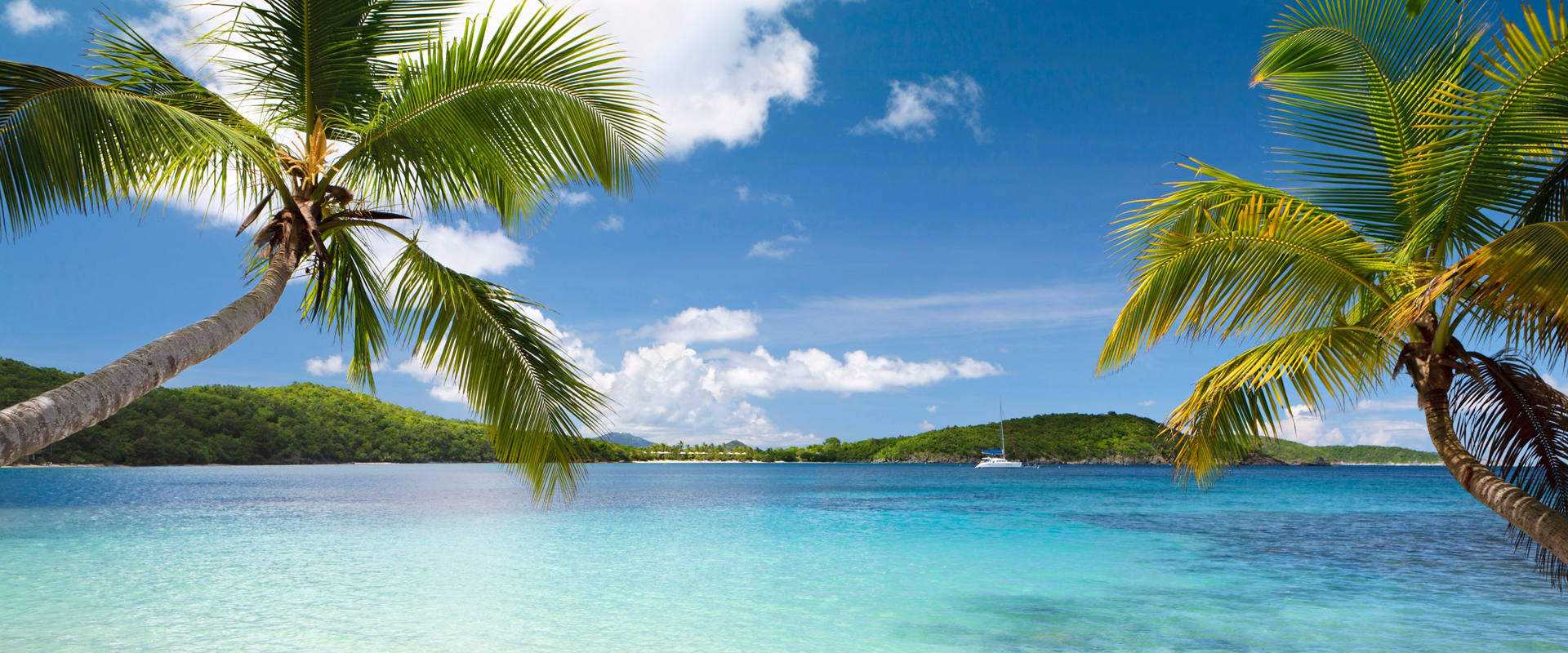 Turquoise water and palm trees on a white sandy beach in the Southern Caribbean | MSC Cruises