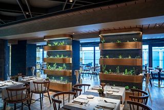 Chef's Garden Kitchen restaurant features tables, chairs and lush green plants onboard | MSC Cruises