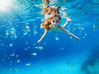 Girl swimming among fish in crystal blue water at an ocean cay | MSC Cruises