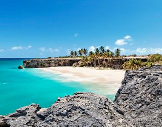 A serene beach scene at Bottom Bay in Barbados, featuring turquoise waters and lush palm trees on the shore | MSC Cruises