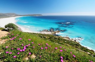 Breathtaking coastal view of Cape Town with vibrant flowers and turquoise sea under a clear sky | MSC Cruises