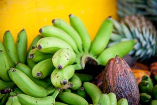 A vibrant selection of fresh fruits including bananas and cocoa pods, highlighting the natural bounty of Guadeloupe | MSC Cruises