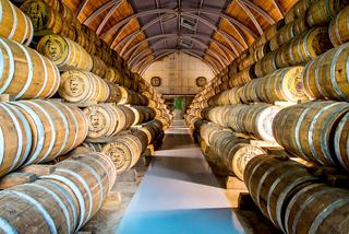 A beautiful wine cellar with wooden barrels showcasing Martinique’s rich viticulture | MSC Cruises