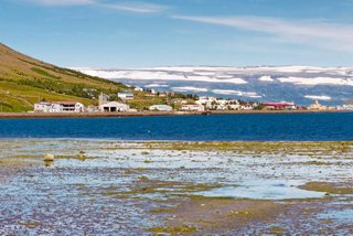 A panoramic view of Isafjordur, Iceland, showcasing the coastal landscape and surrounding mountains | MSC Cruises