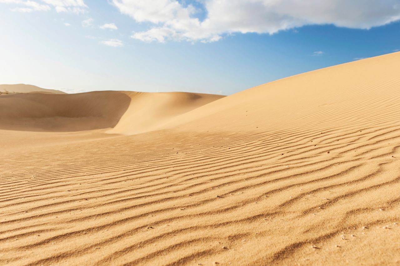 Golden sand dunes under a bright sky, inviting exploration in Las Dunas Natural Park, Fuerteventura | MSC Cruises