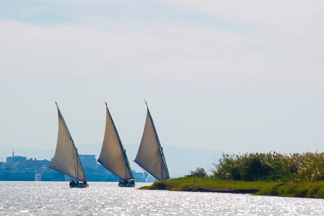 Traditional sailing boats glide gracefully along the tranquil waters of the Red Sea near Safaga, Egypt | MSC Cruises