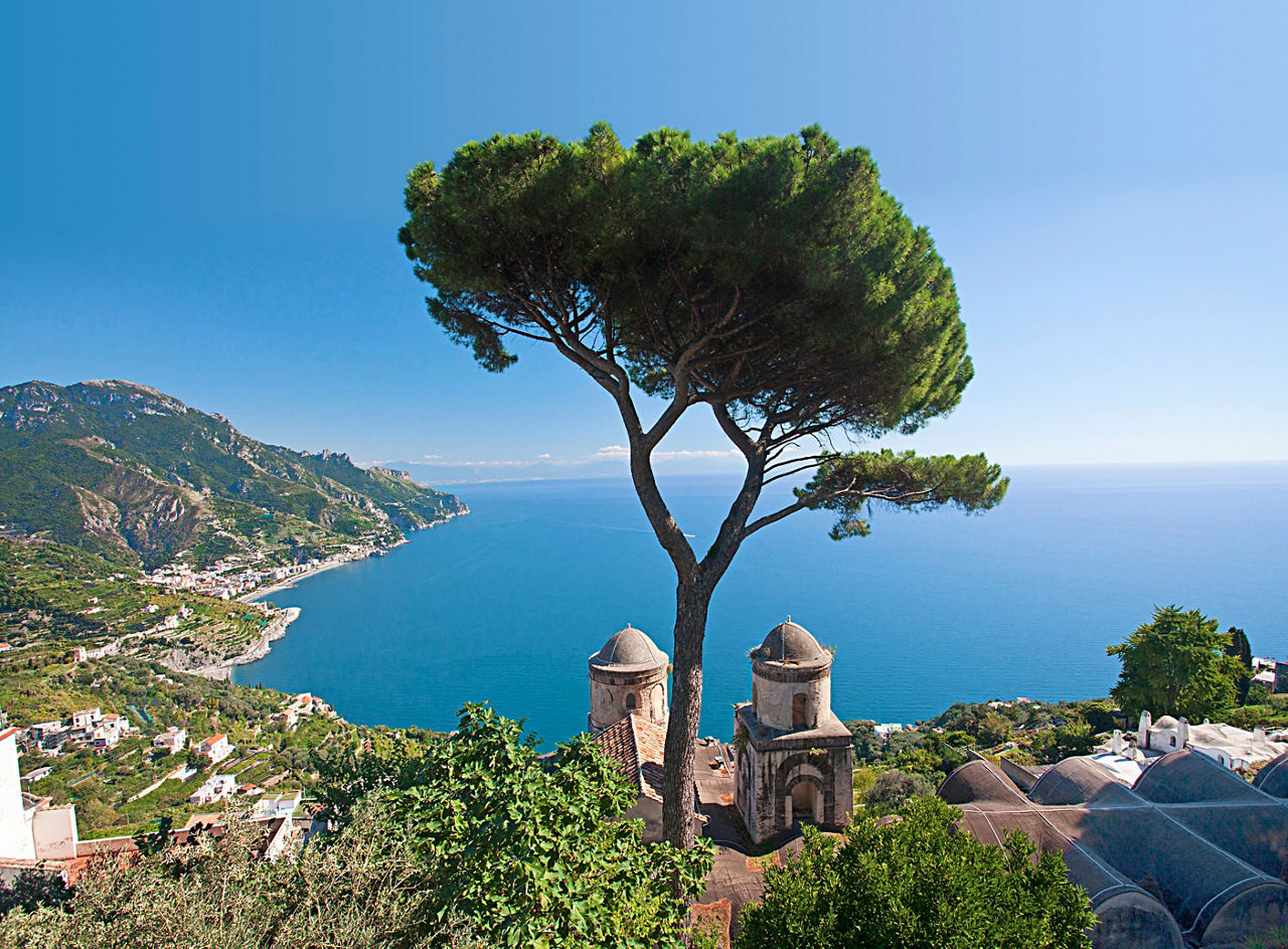 A stunning view of the coastline and sea from Ravello, featuring a tall tree against a clear blue sky | MSC Cruises