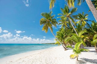 A serene beach in the Dominican Republic, framed by palm trees and a crystal-clear sea under a bright sky | MSC Cruises