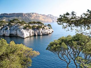 A scenic view of the Mediterranean coastline near Cassis, framed by lush trees and clear blue waters | MSC Cruises