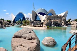 A stunning view of the Oceanographic Park's unique architecture surrounded by tranquil water in Valencia, Spain | MSC Cruises