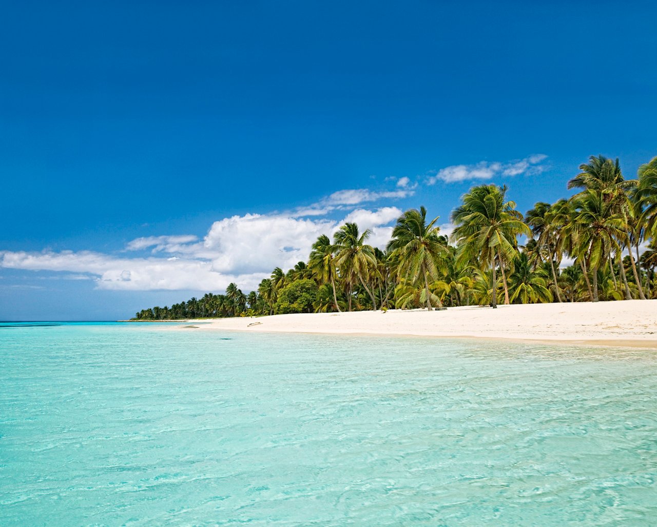 A serene beach in the Dominican Republic with clear sea, palm trees, and a bright blue sky invites relaxation | MSC Cruises
