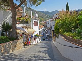 Una encantadora calle en Málaga, España, llena de gente y vegetación vibrante, invita a la exploración y la aventura | MSC Cruceros