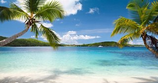 A serene beach scene with palm trees and clear turquoise waters in Saint John Island, Caribbean | MSC Cruises