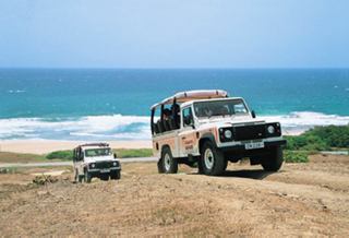 Zwei Jeeps fahren eine Straße entlang des Ozeans | MSC Cruises