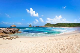 A serene beach scene in Guadeloupe with clear waters, soft sand, and lush vegetation under a bright blue sky | MSC Cruises