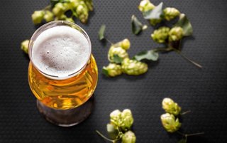 A refreshing glass of lager beer with frothy top, surrounded by hops on a dark surface | MSC Cruises