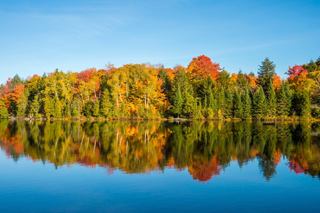 Réflexion sereine d'arbres aux couleurs d'automne dans un lac tranquille | MSC Croisières