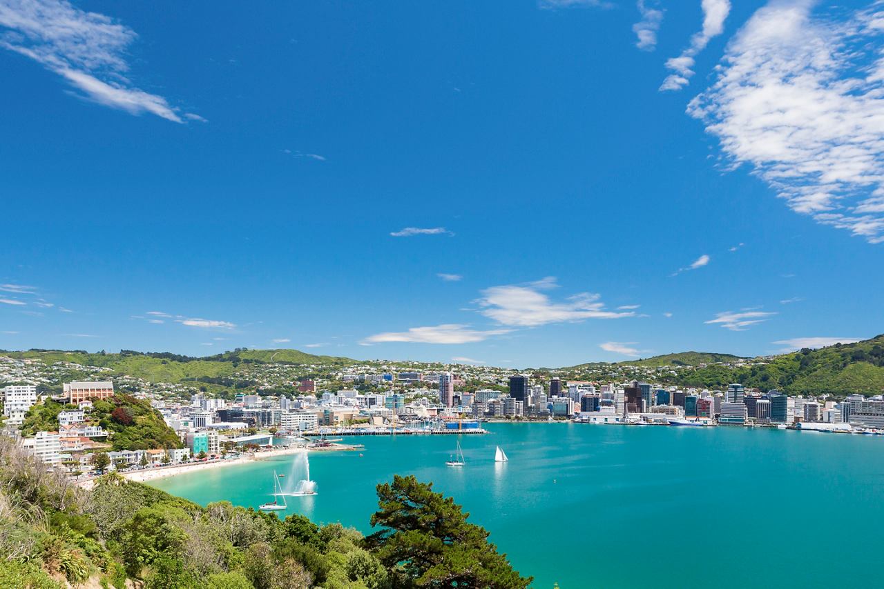 A panoramic view of Wellington's coastline, featuring the sea, hills, and city skyline | MSC Cruises